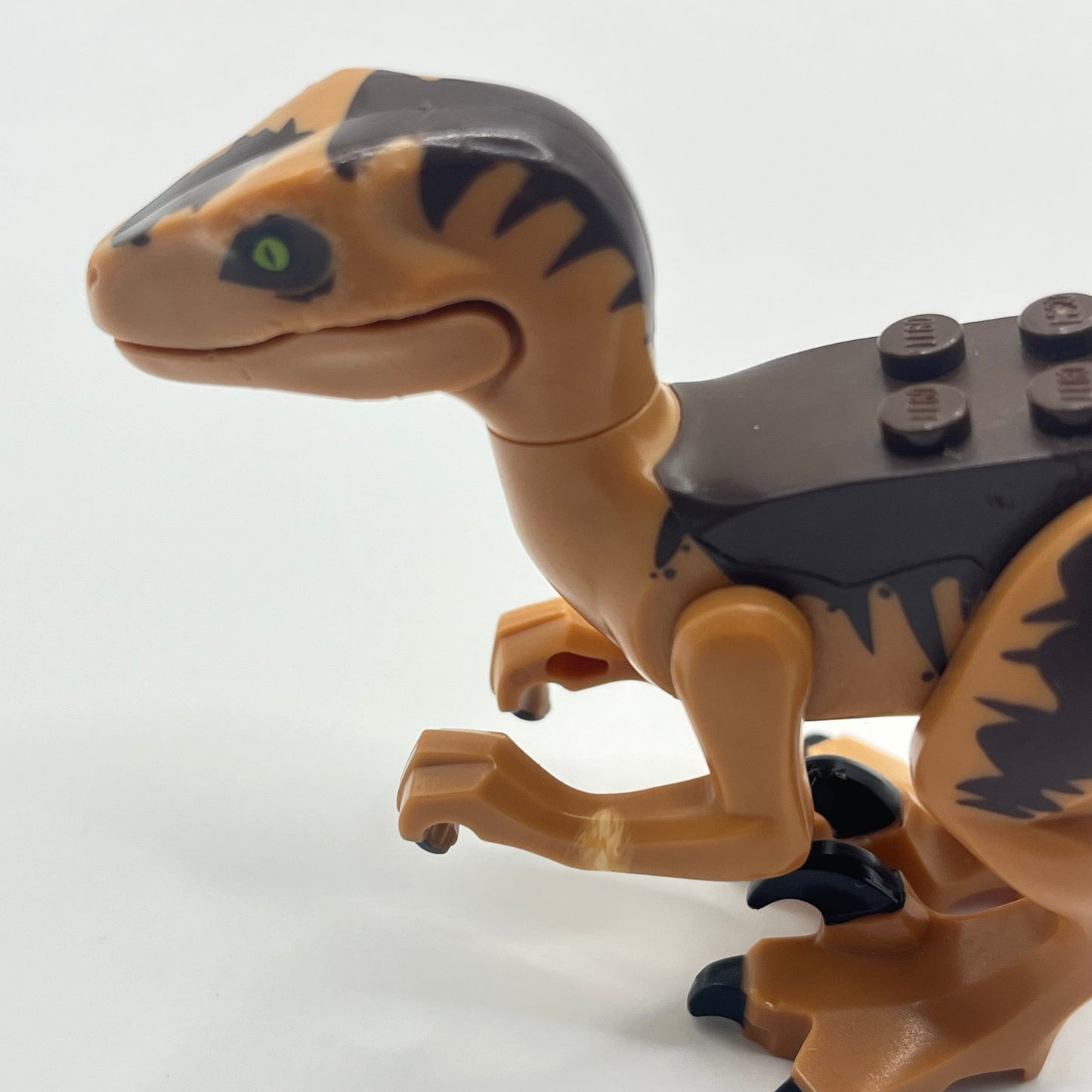 LEGO Dinosaur Raptor Brown (Jurassic World / Park) (raptor10) Fair condition