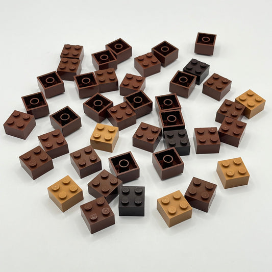 LEGO 2 x 2 Bricks, Mixed Browns, 40 Pieces