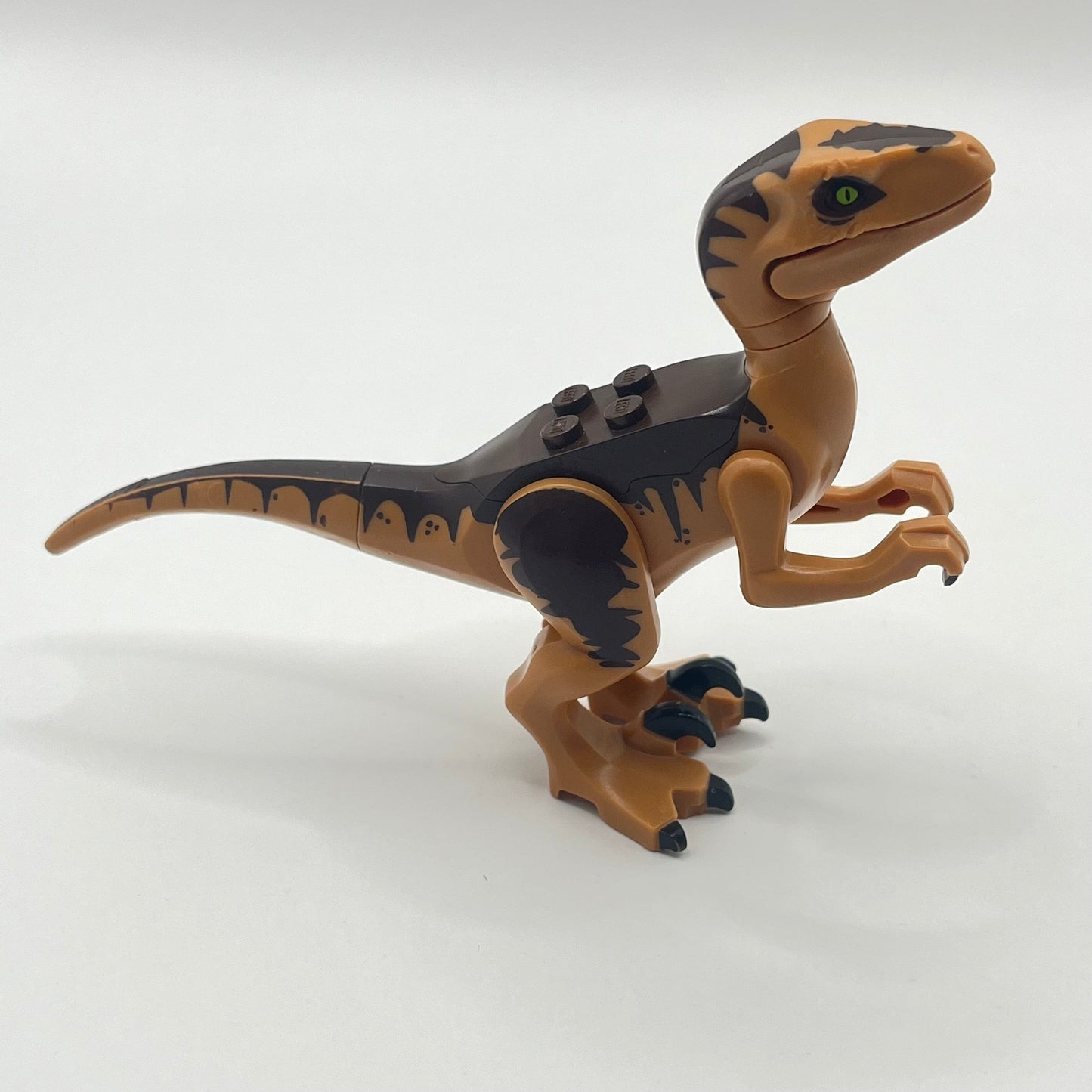 LEGO Dinosaur Raptor Brown (Jurassic World / Park) (raptor10) Fair condition