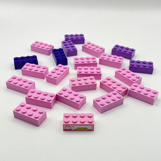 LEGO 2 x 4 Bricks, Pinks and Purples, 22 Pieces