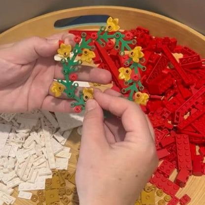 LEGO Monthly Play Subscription Box