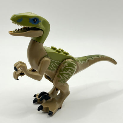 LEGO Velociraptor, Olive Green Back, Dinosaur