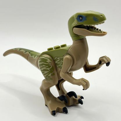 LEGO Velociraptor, Olive Green Back, Dinosaur