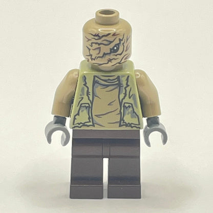 LEGO Unkar's Brute, Star Wars Minifigure (sw0723)