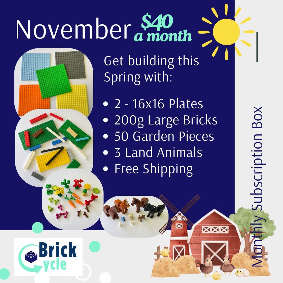 LEGO Monthly Play Subscription Box Brick Cycle